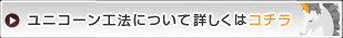 ユニコーンとは